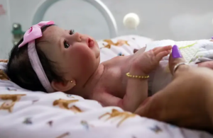 Captura de Tela 2025 05 25 as 16.34.56 - Liderança Bebê Reborn: Quando o Cargo Existe, Mas a Alma Não Está Presente