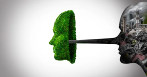 Captura de Tela 2025 05 25 as 16.42.25 - Silêncio Verde: o impacto do greenhushing nas práticas empresariais