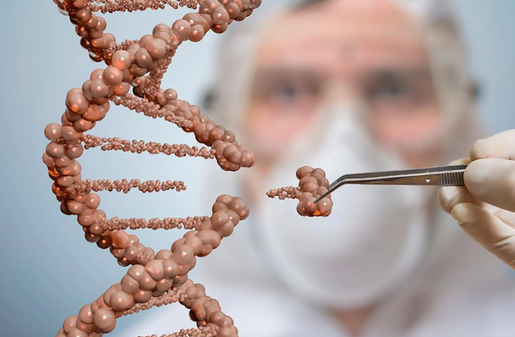 Captura de Tela 2026 04 22 a╠Cs 10.40.51 - O futuro da Saúde nas Empresas