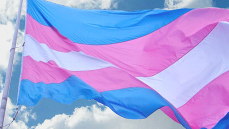 imagem - ENTREVISTA. Pessoas Trans têm o direito de existir no futuro?